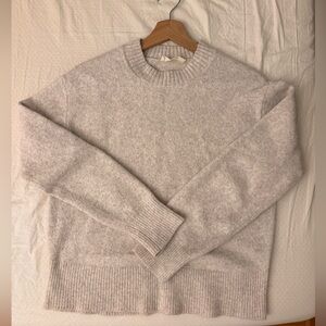 Everlane Cocoon Crew in plush cotton (heathered oat)